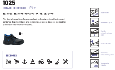 Zapato cordones